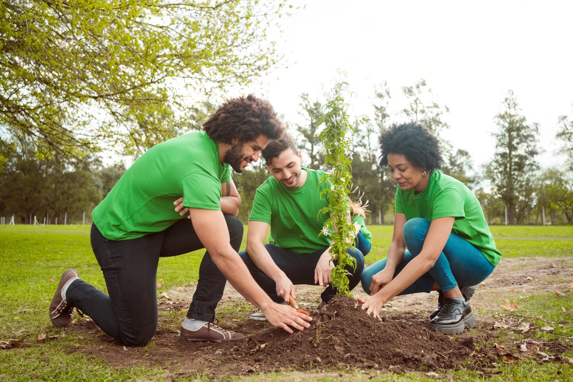 Plant A Tree With PMG!