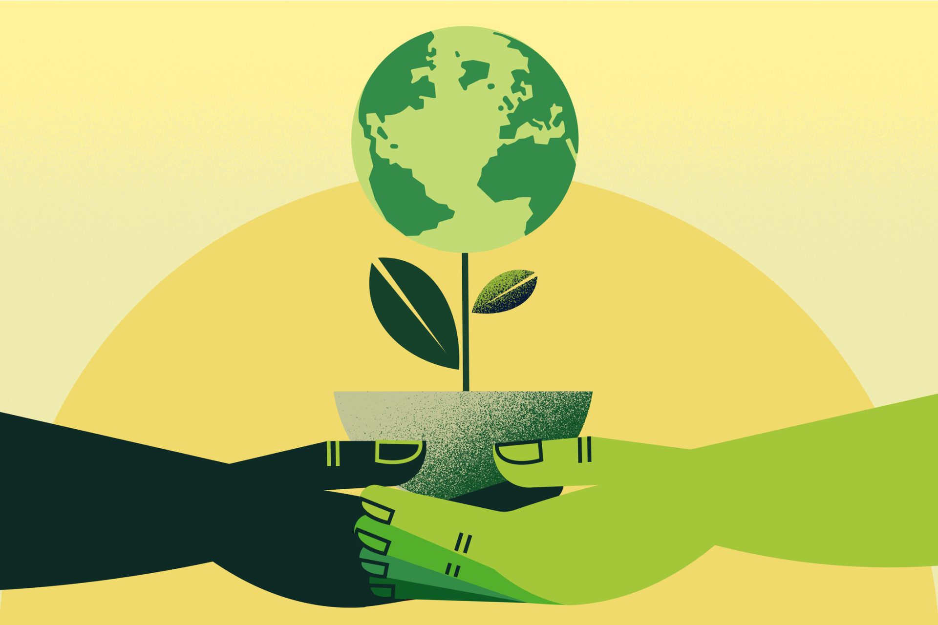 PMG’s Green Initiatives